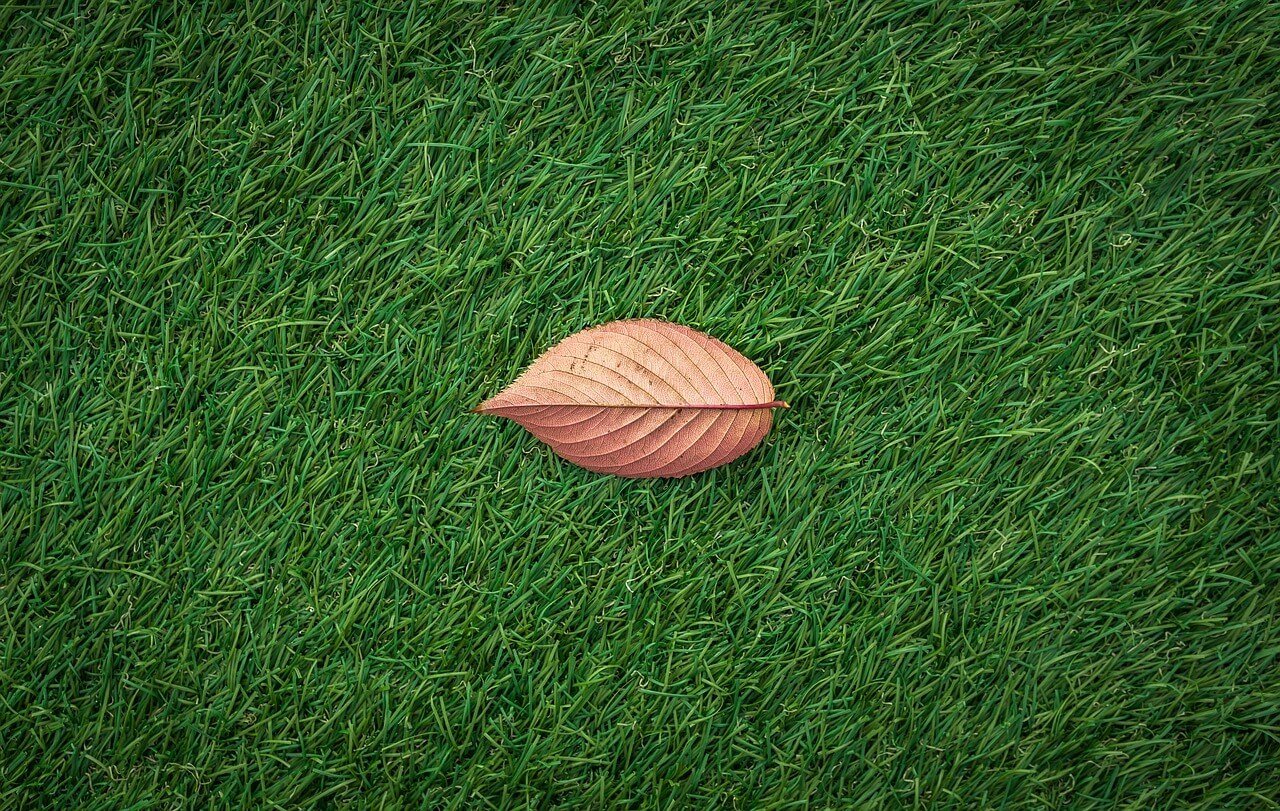 A single brown leaf with visible veins lies on a well-manicured, lush green artificial grass installation in Peoria, Arizona. The contrast between the brown leaf and the vibrant green grass highlights the leaf's texture and detailed structure. Contact us for a free quote today!